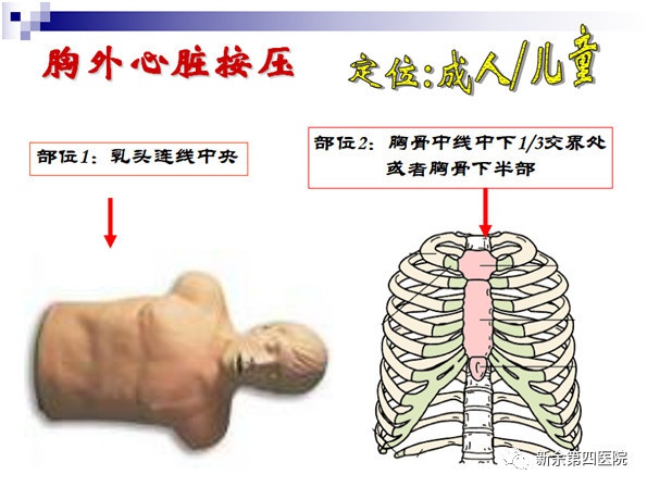 圖片100.jpg